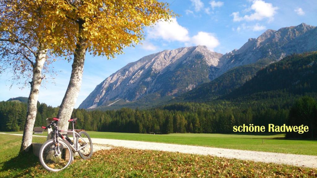 Ferienhaus Anke - Ausseerland Salzkammergut Pichl bei Aussee Екстериор снимка
