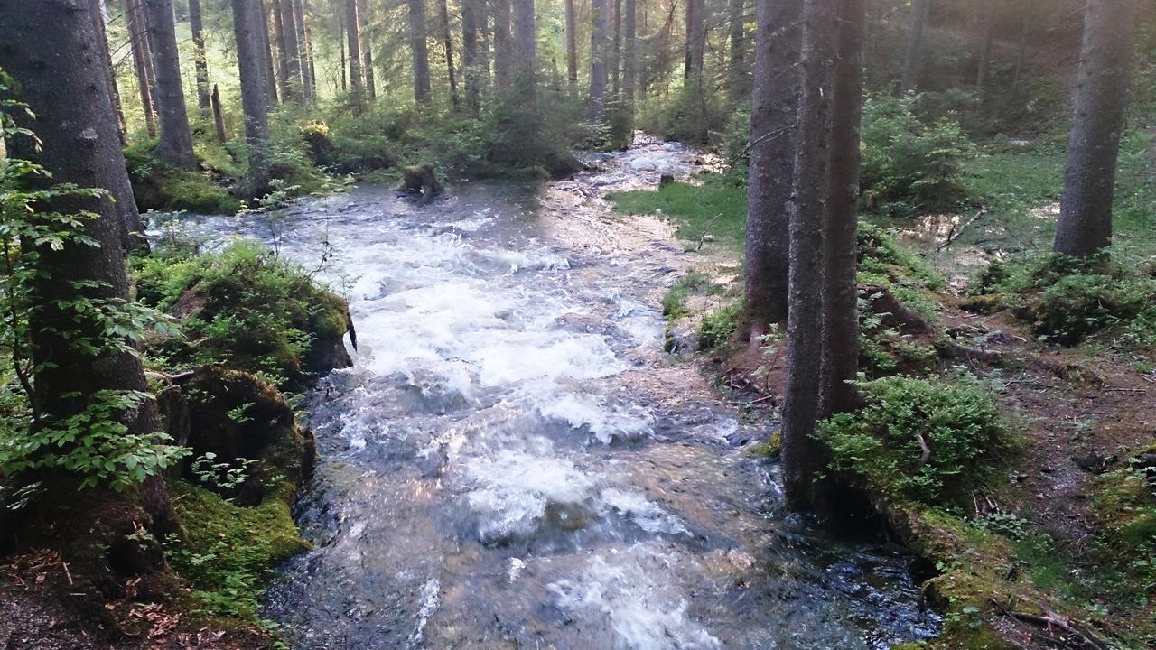 Ferienhaus Anke - Ausseerland Salzkammergut Pichl bei Aussee Екстериор снимка